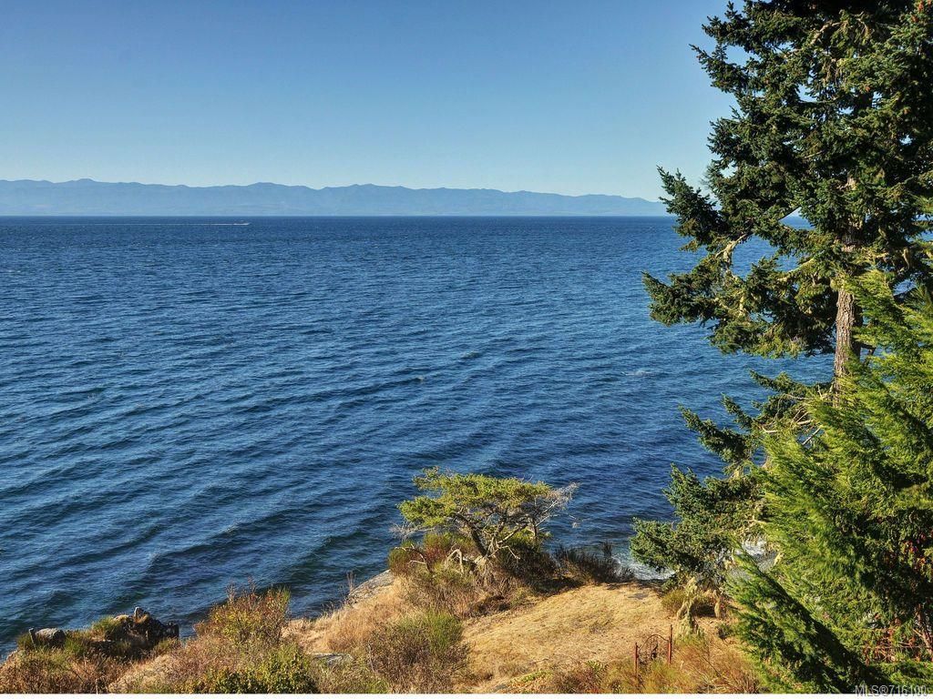 listing image 16044037769826353612