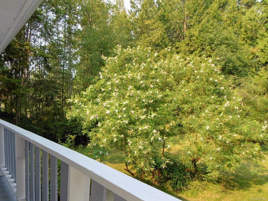 listing image 16043383611708298737
