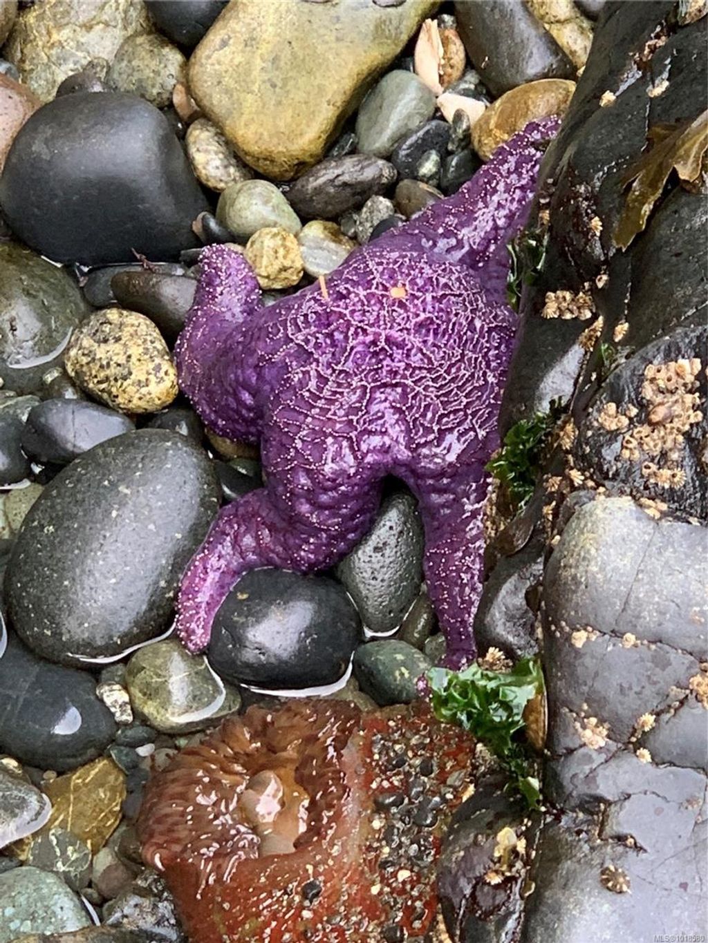 listing image 16046835980585524413