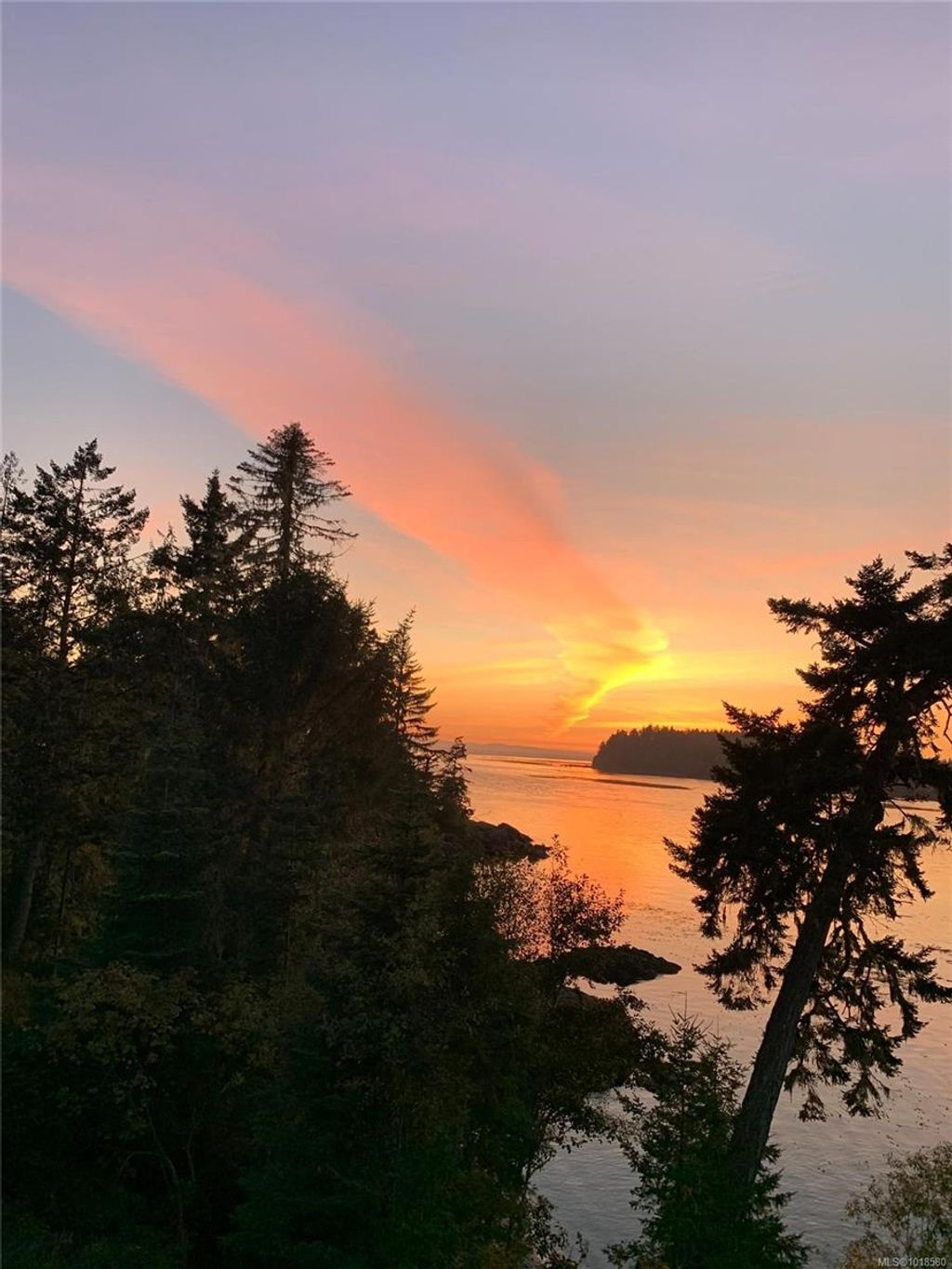 listing image 16044469335581528571