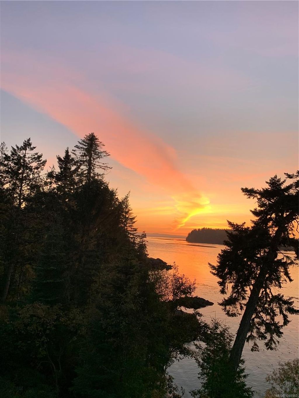 listing image 16041228470105188573