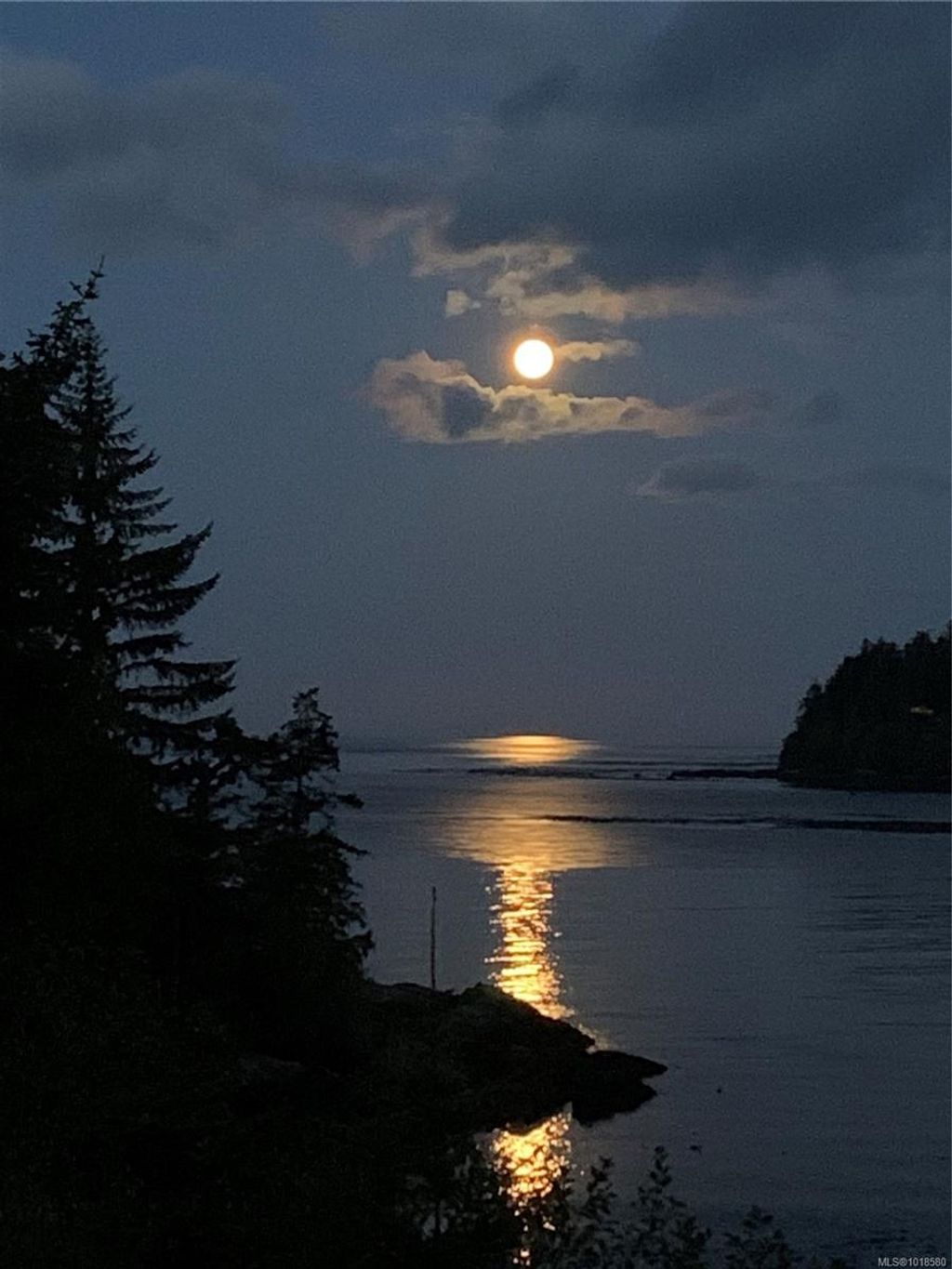 listing image 16041096216405666775