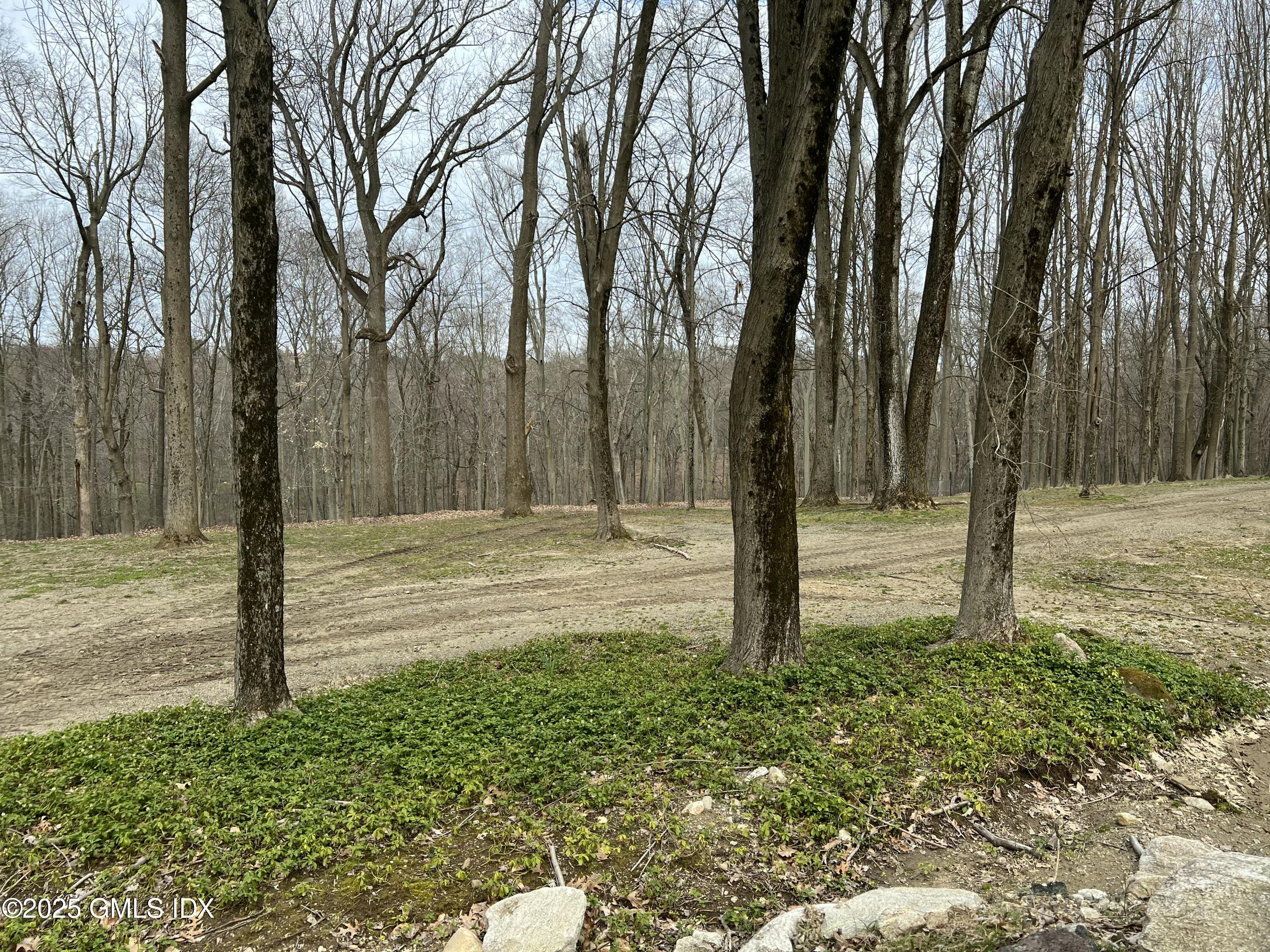 Greenwich, Connecticut 06831, United States, ,Land,Active,74941