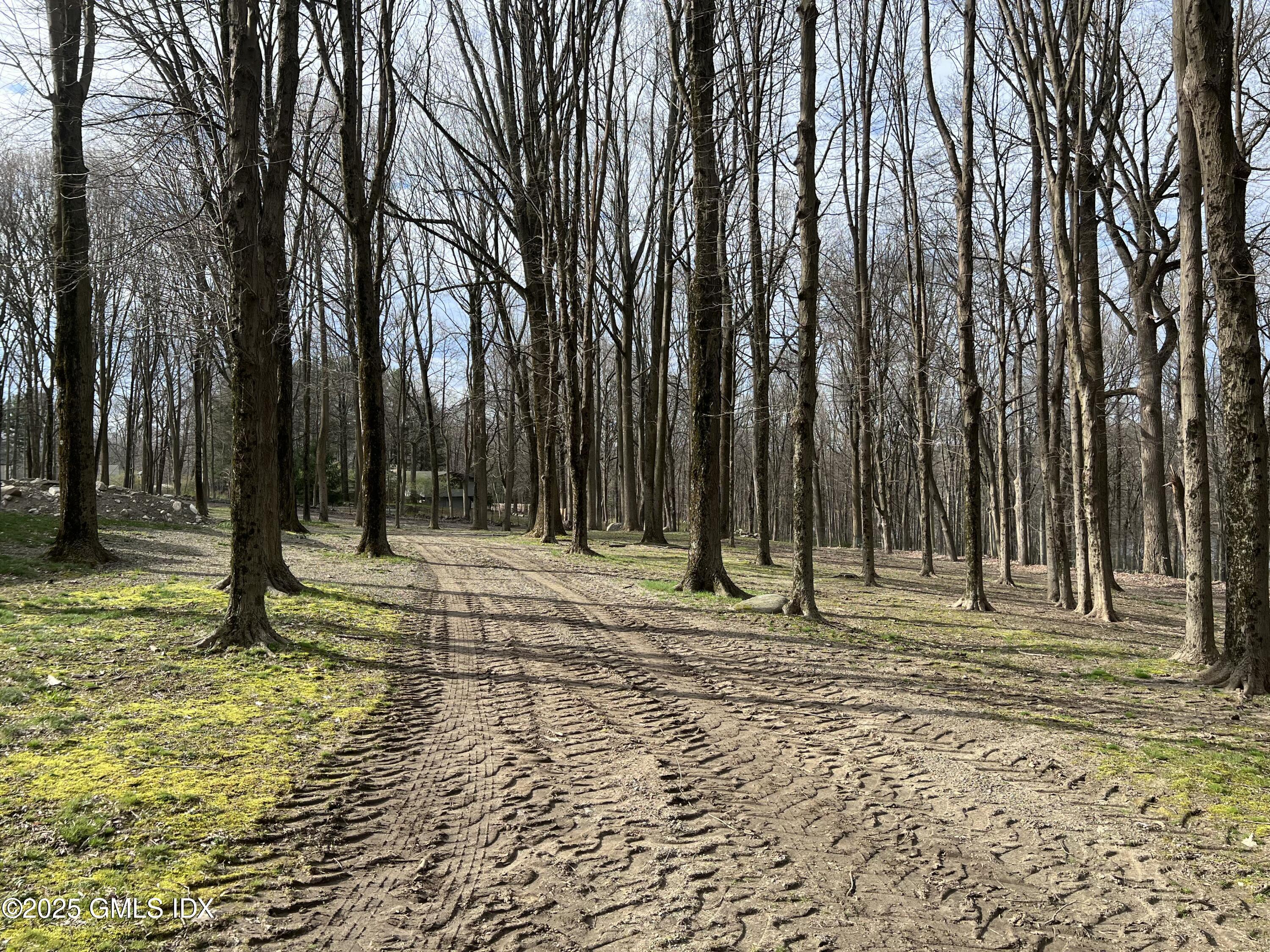 Greenwich, Connecticut 06831, United States, ,Land,Active,74941