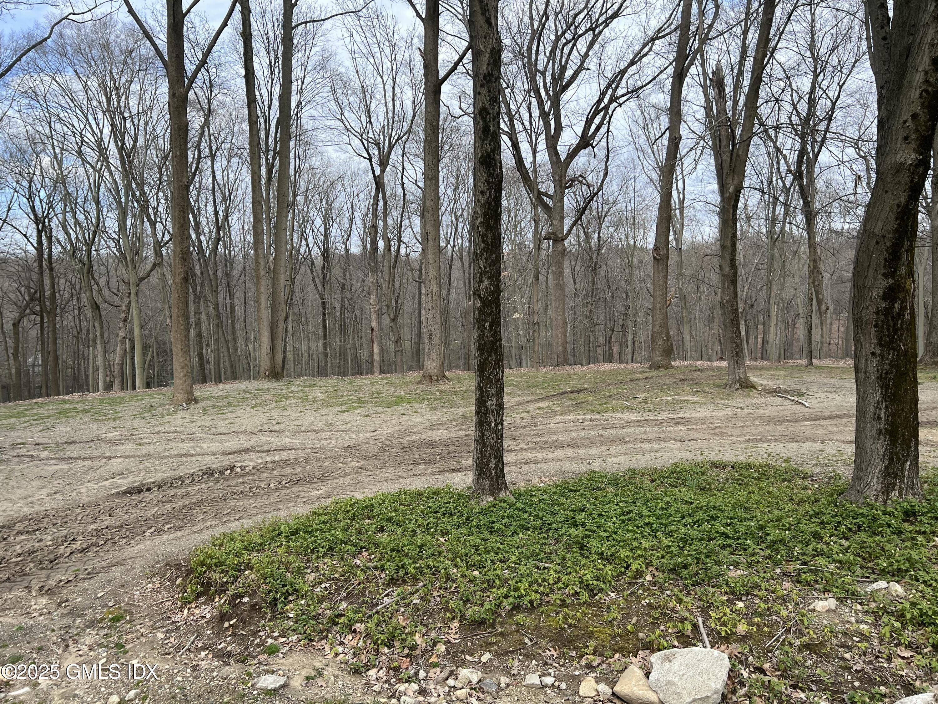 Greenwich, Connecticut 06831, United States, ,Land,Active,74941