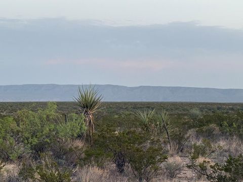 Vacant Land For Sale - 0000 Valley View St<br/> Terrell County, Dryden, TX 78851