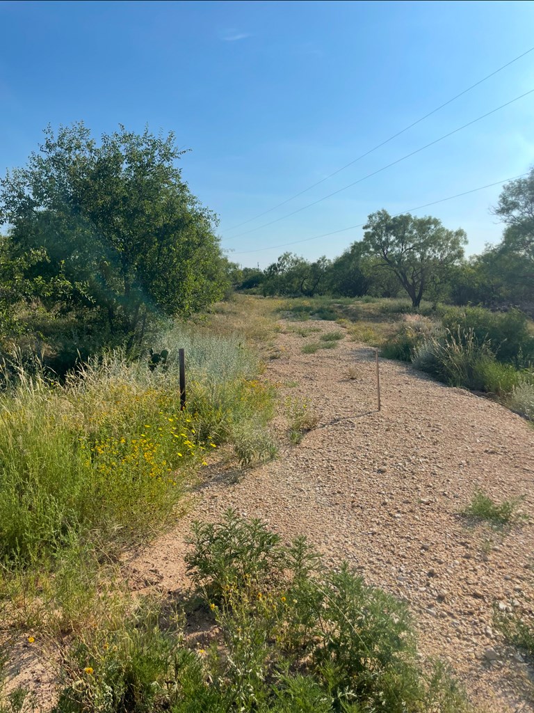 1181 Lcr 175, Colorado City, Texas image 3