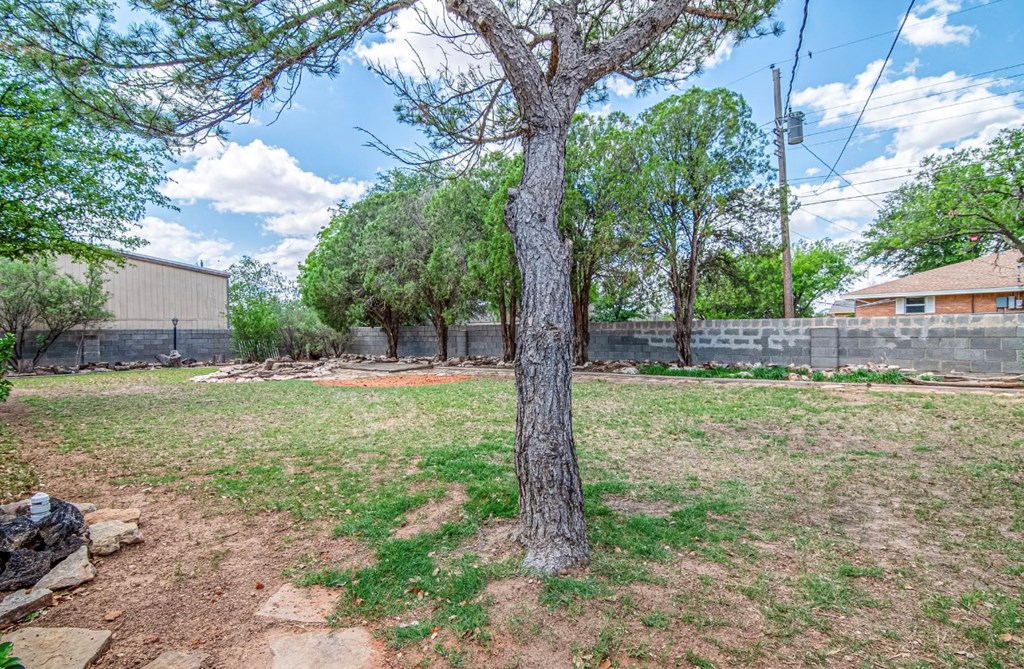 2802 Navajo Drive, Big Spring, Texas image 29