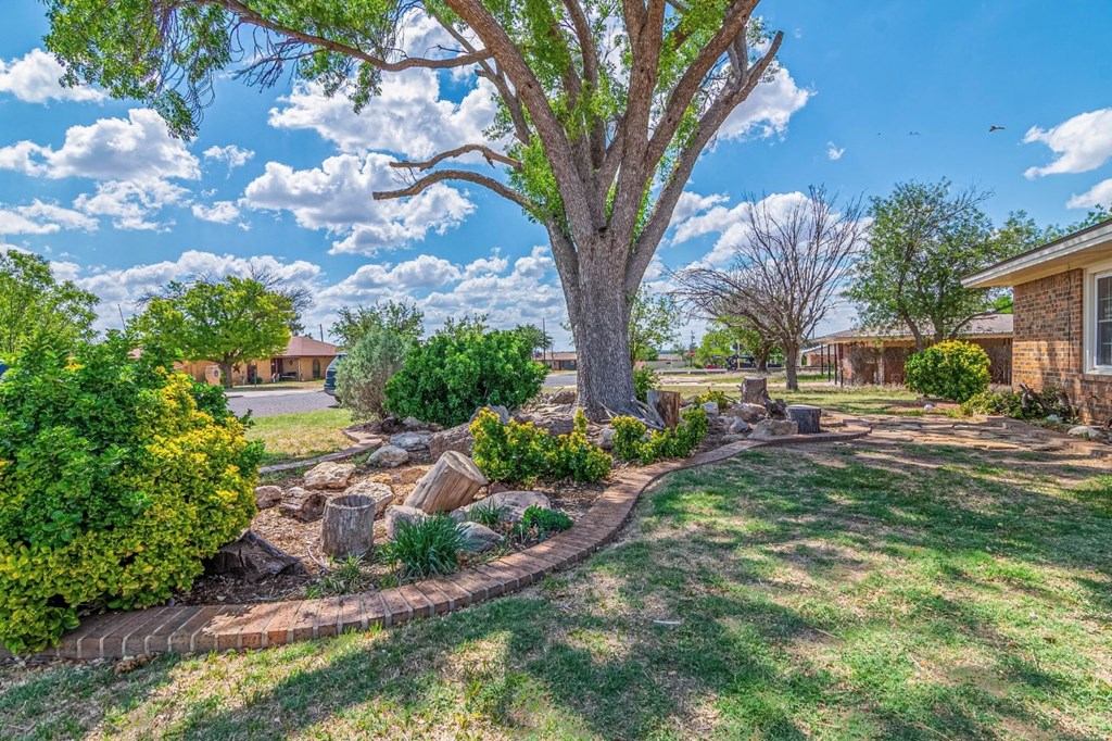 2802 Navajo Drive, Big Spring, Texas image 3