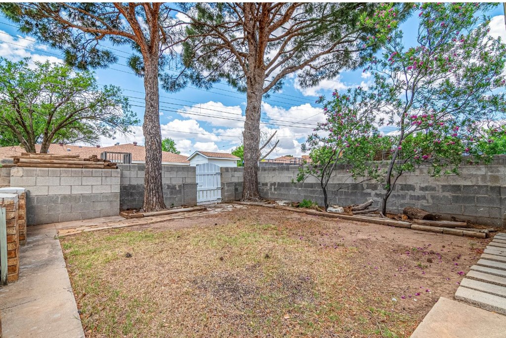 2802 Navajo Drive, Big Spring, Texas image 28