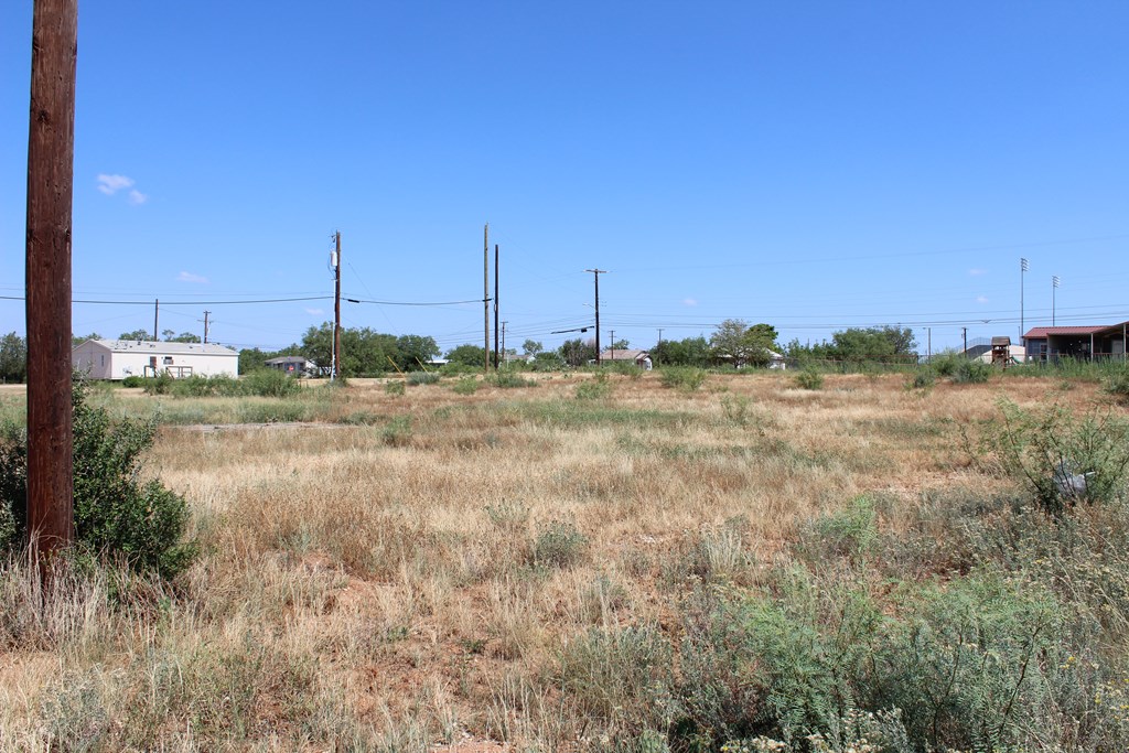 402 W 8th St, Colorado City, Texas image 6
