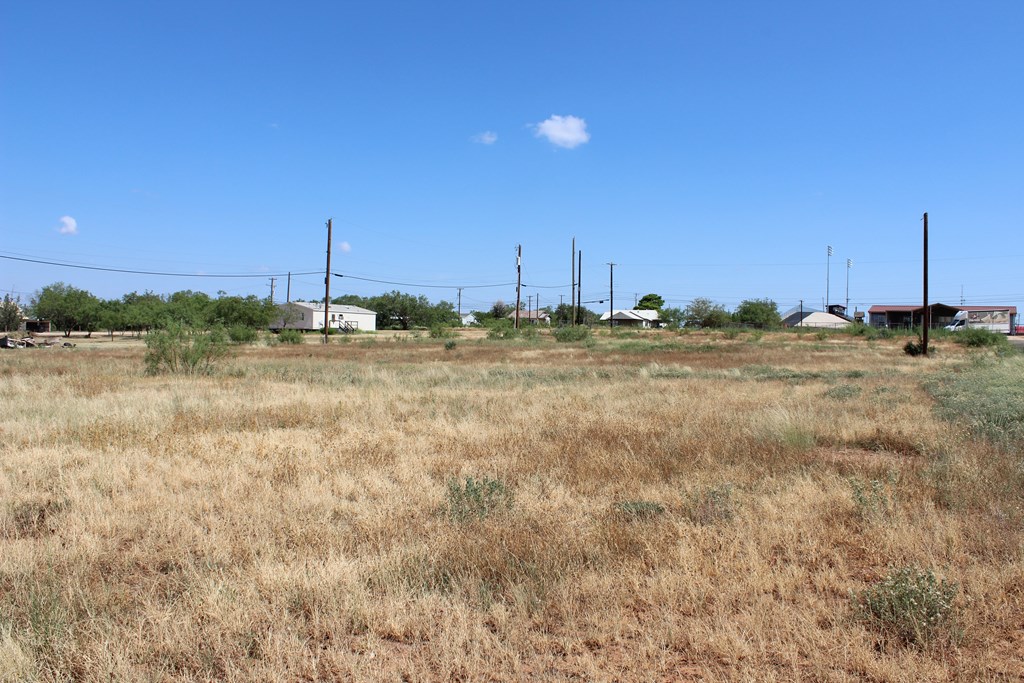 402 W 8th St, Colorado City, Texas image 5