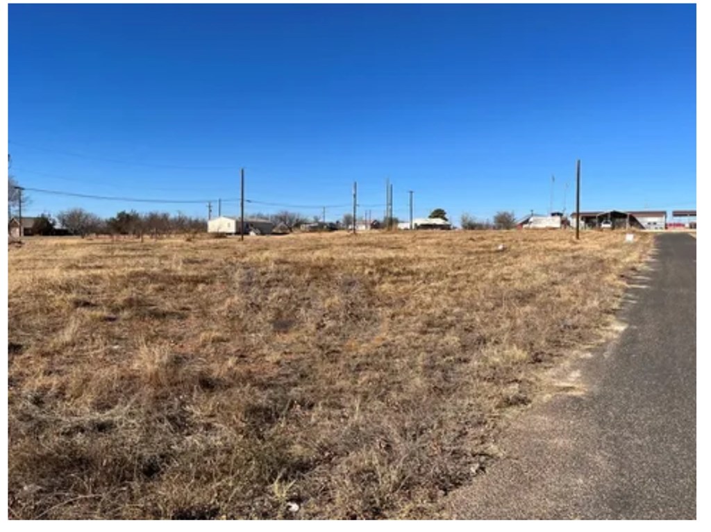 402 W 8th St, Colorado City, Texas image 3