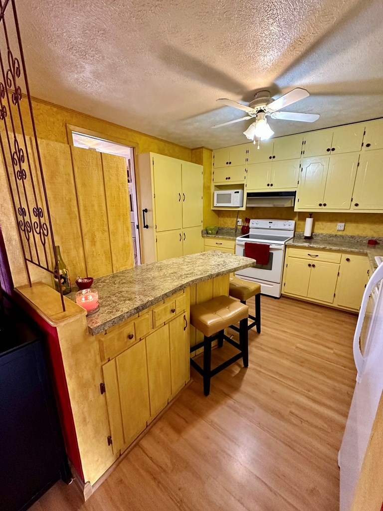 1476 Lcr 117, Colorado City, Texas image 22