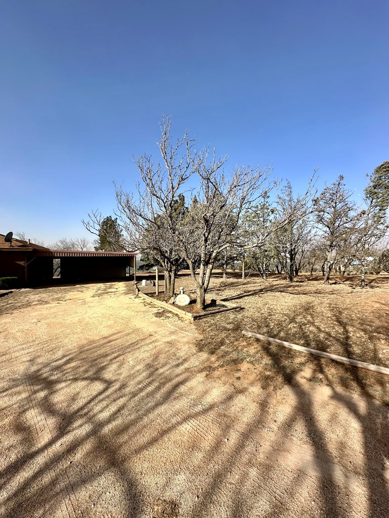 1476 Lcr 117, Colorado City, Texas image 4