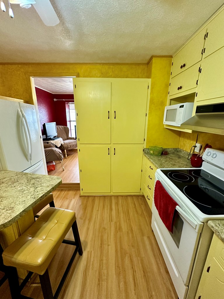 1476 Lcr 117, Colorado City, Texas image 24