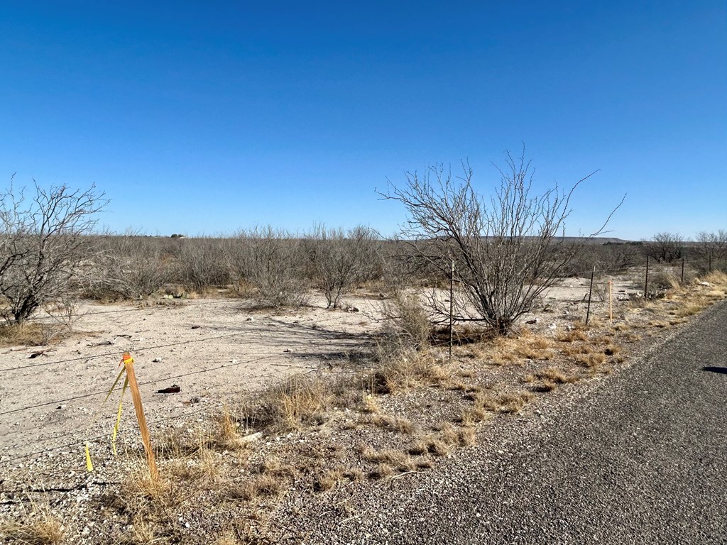 7d, Fort Stockton, Texas image 4