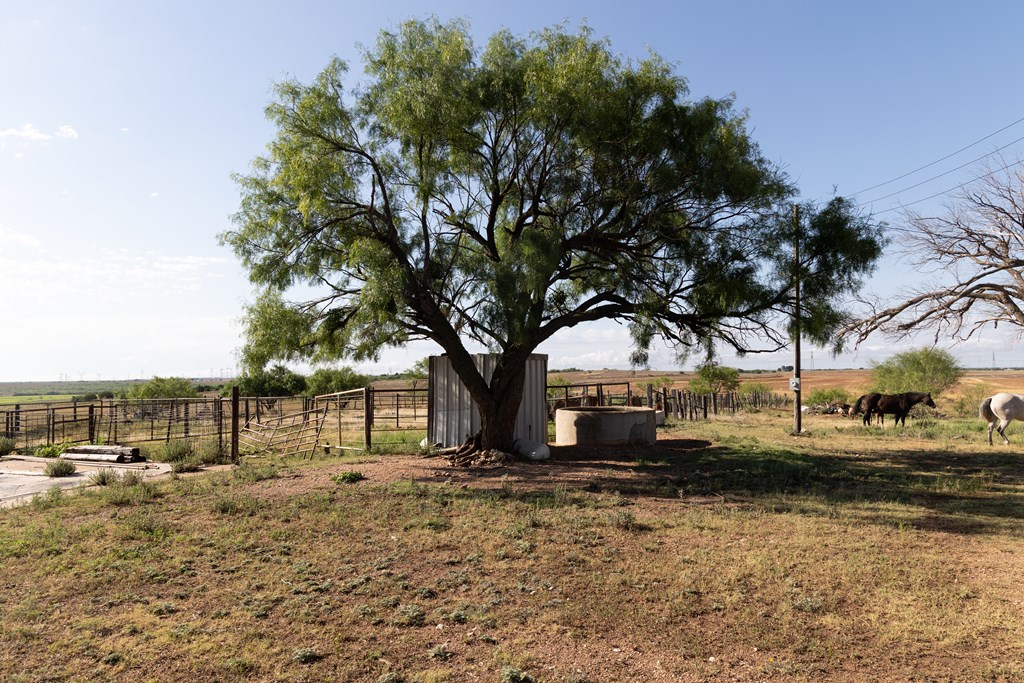 1966 Ennis Creek Rd, Snyder, Texas image 7
