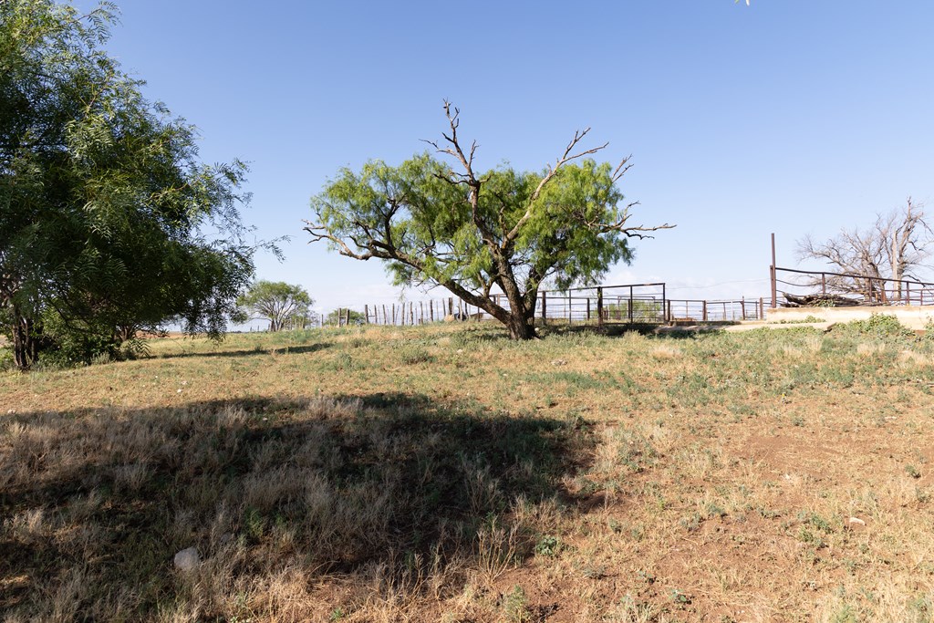 1966 Ennis Creek Rd, Snyder, Texas image 10