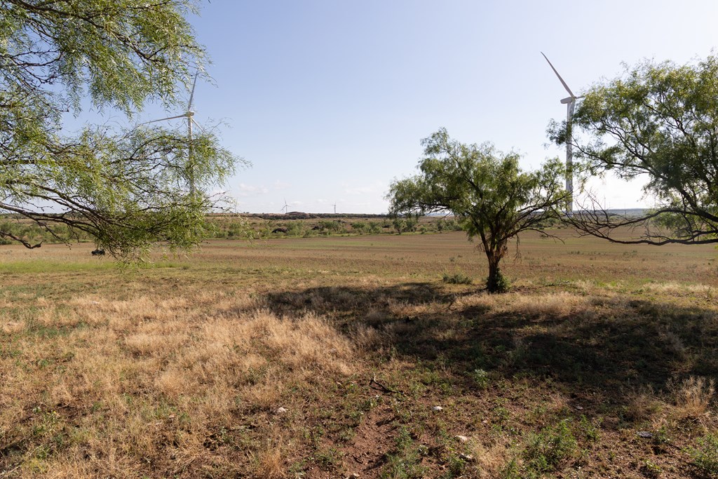 1966 Ennis Creek Rd, Snyder, Texas image 8