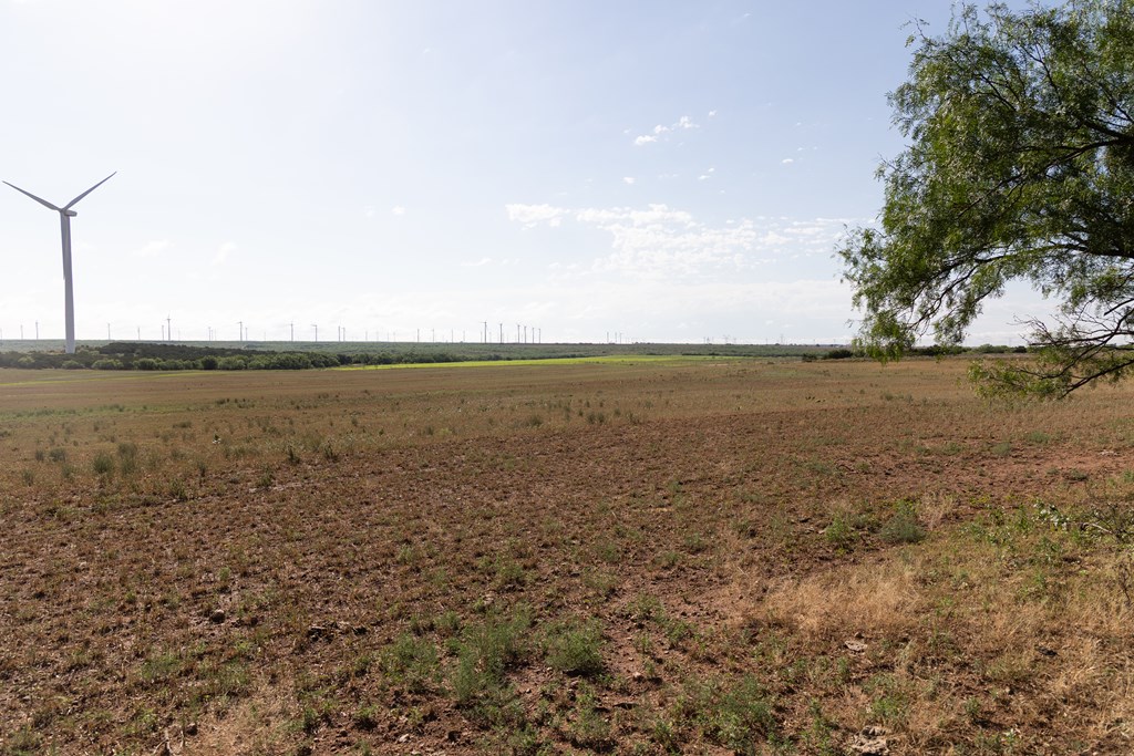 1966 Ennis Creek Rd, Snyder, Texas image 15