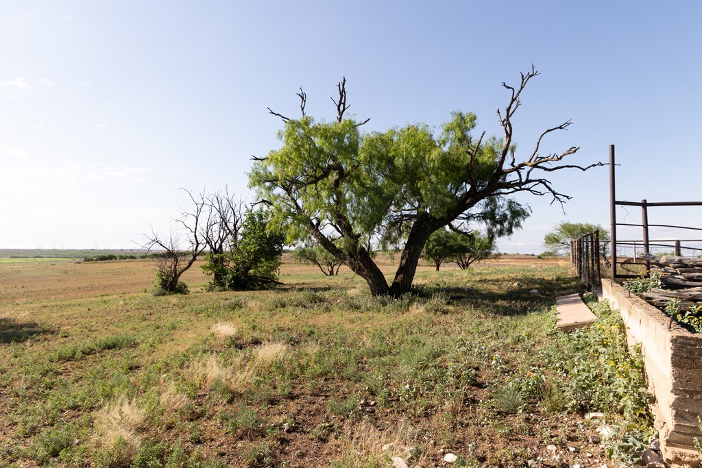 1966 Ennis Creek Rd, Snyder, Texas image 9