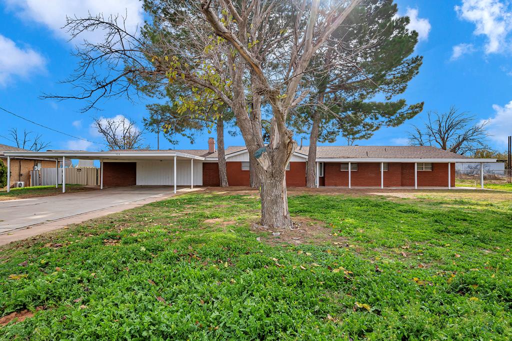904 Culp Ave, Coahoma, Texas image 1