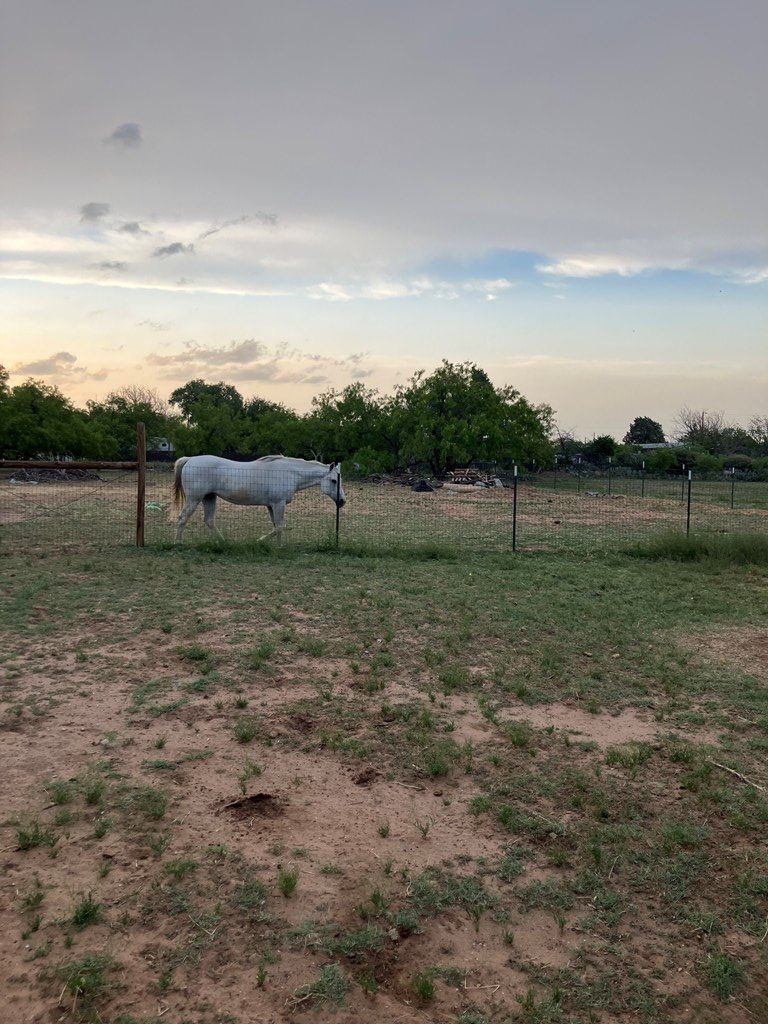 5807 Walter Rd, Big Spring, Texas image 7