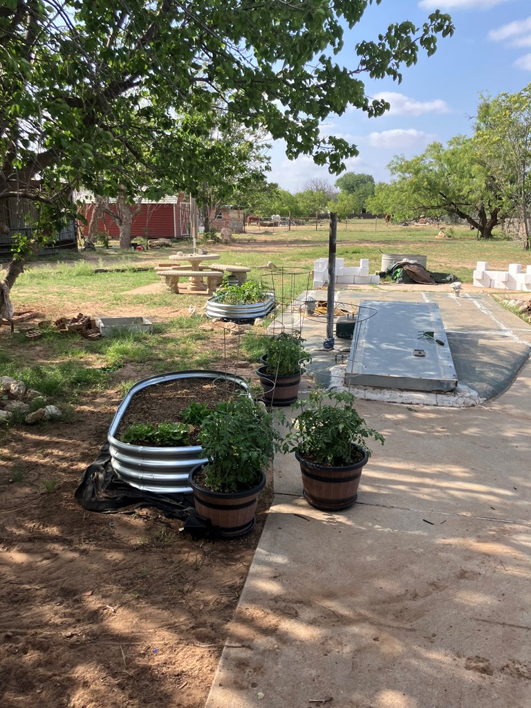 5807 Walter Rd, Big Spring, Texas image 3