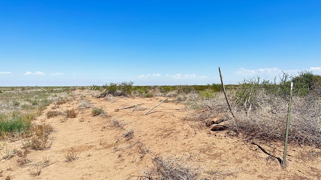 0000 County Rd 334, Verhalen, Texas image 13