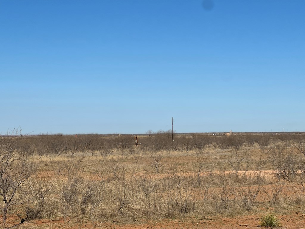 000 Fm 1606, Ira, Texas image 3