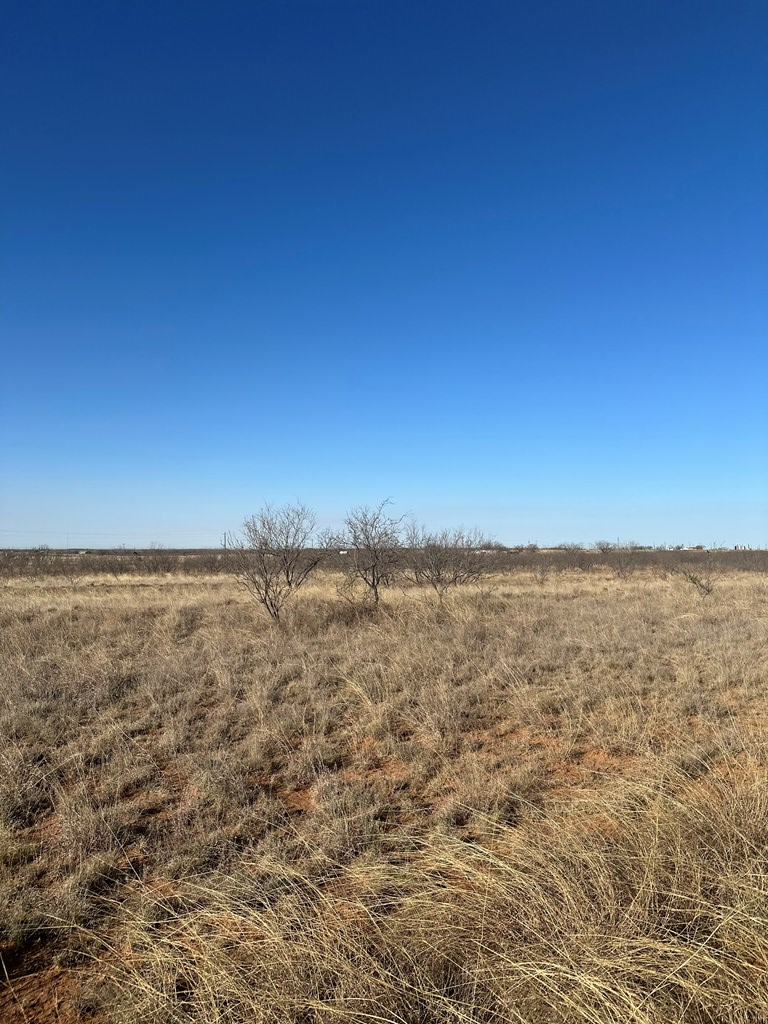 000 Fm 1606, Ira, Texas image 10