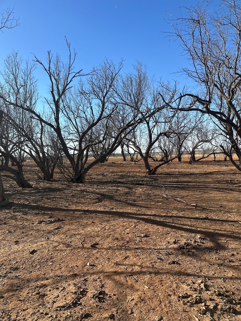 000 Fm 1606, Ira, Texas image 7