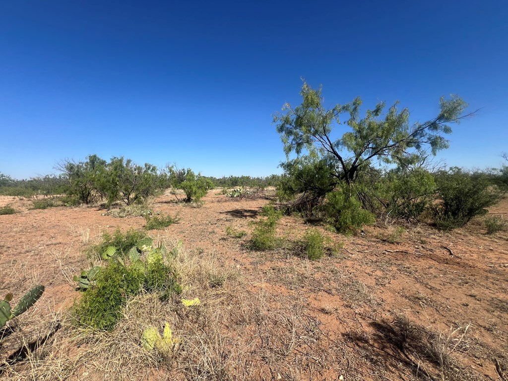 0000 E Moss Lake Rd, Big Spring, Texas image 2