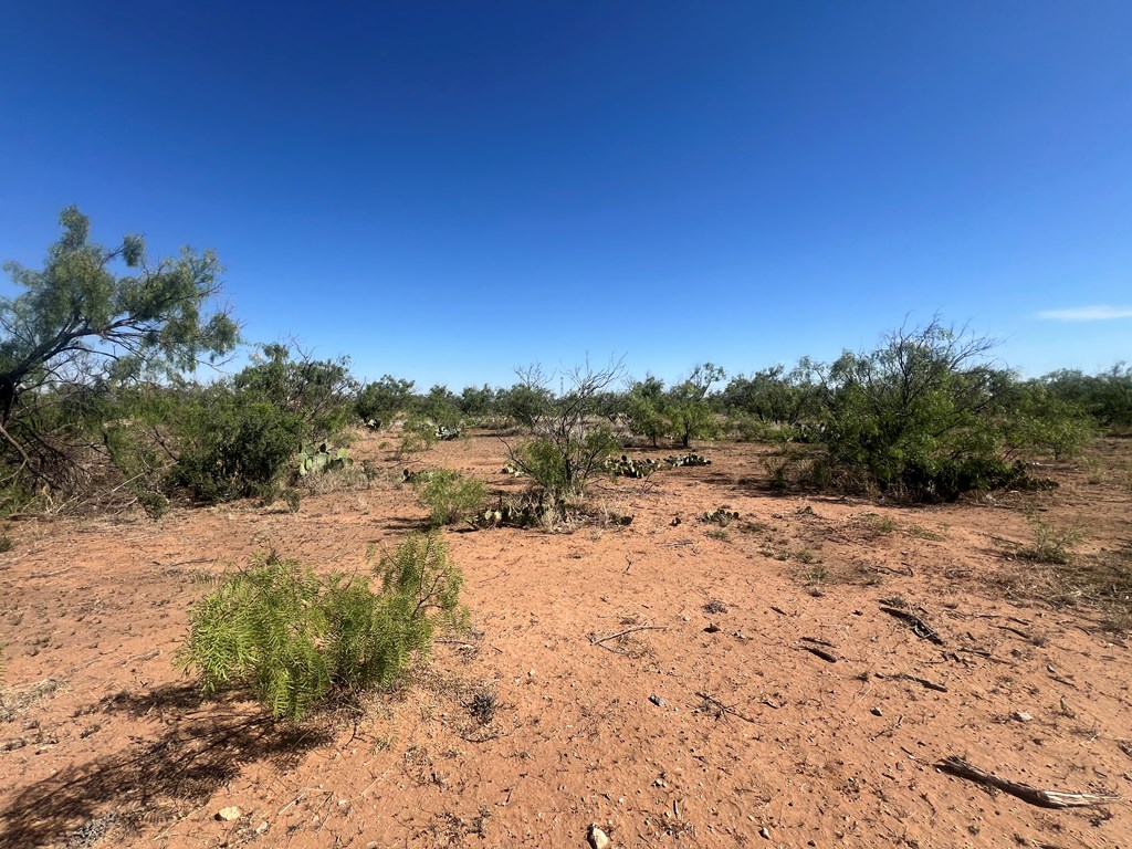 0000 E Moss Lake Rd, Big Spring, Texas image 3