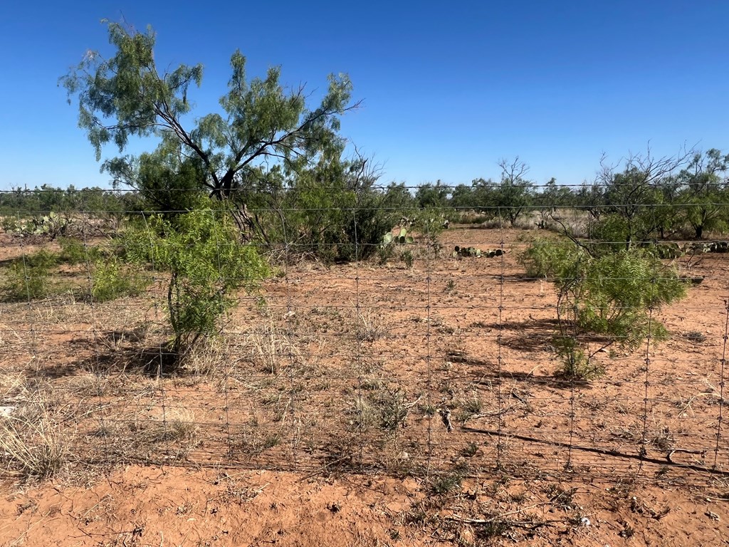 0000 E Moss Lake Rd, Big Spring, Texas image 4