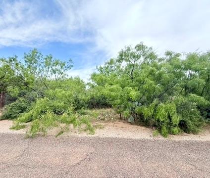 427 S 4th St, Coahoma, Texas image 1