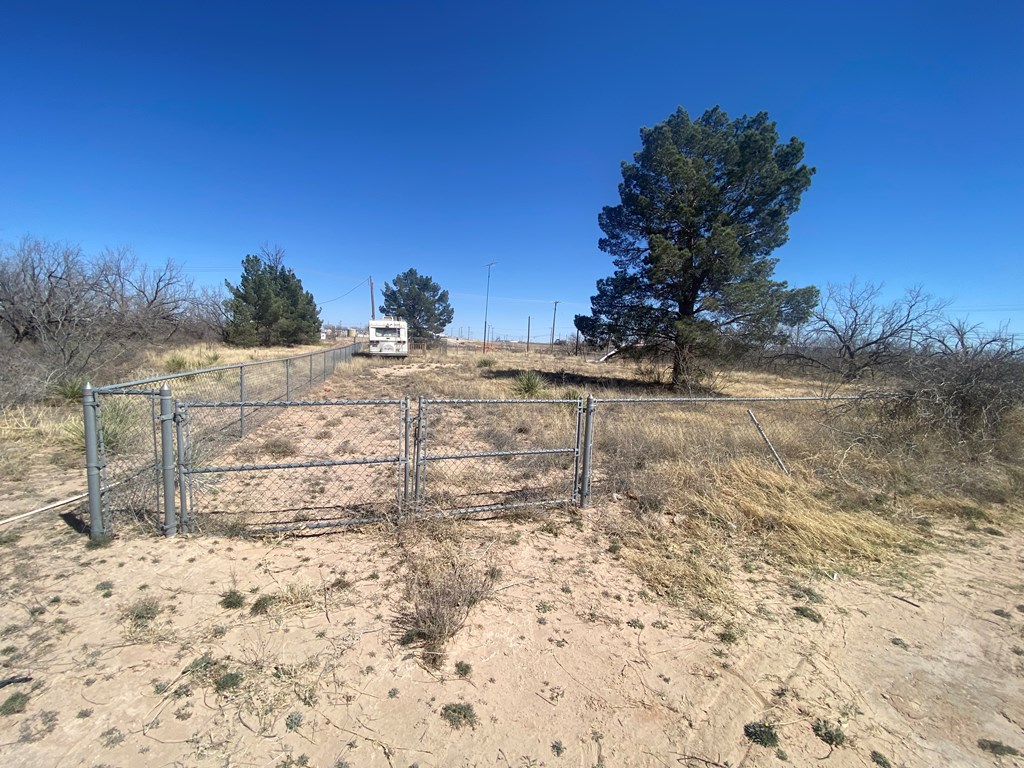 209 Aztec St, Coahoma, Texas image 5