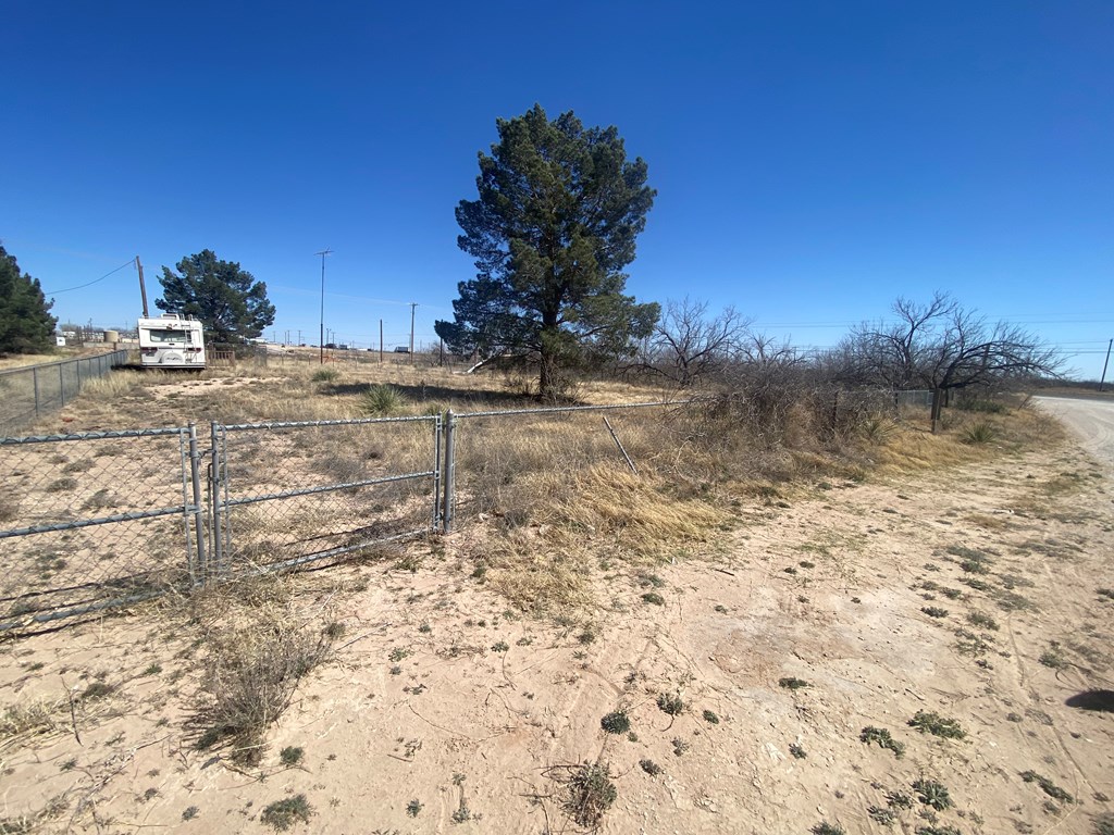 209 Aztec St, Coahoma, Texas image 4