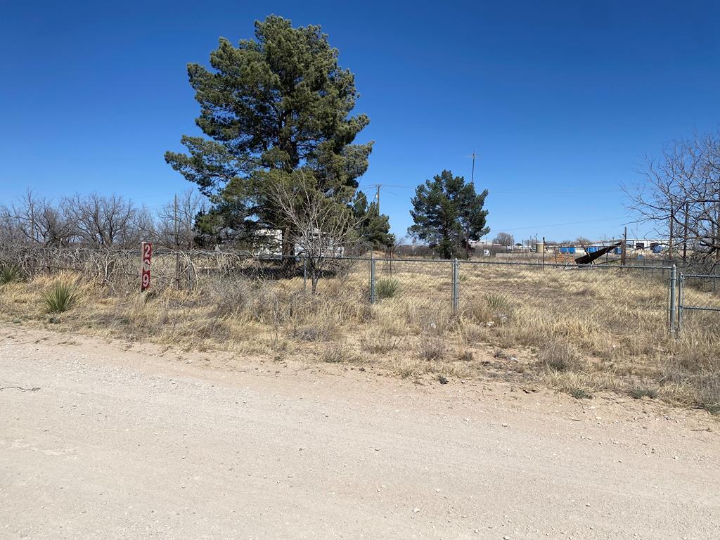 209 Aztec St, Coahoma, Texas image 1