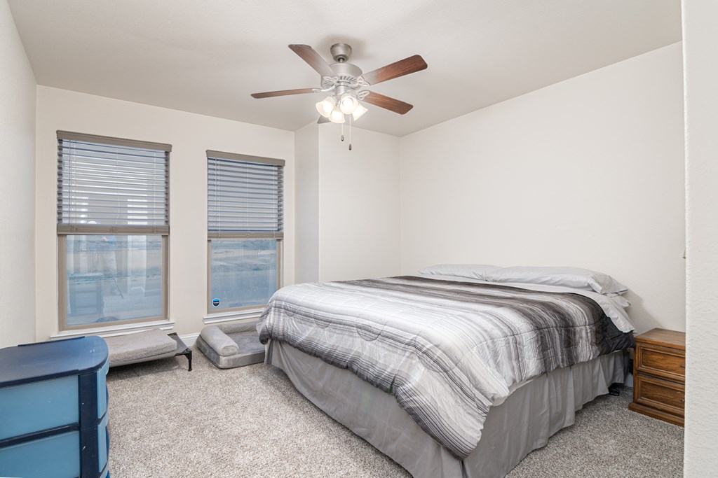 9029 Desert Ave, Odessa, Texas image 9