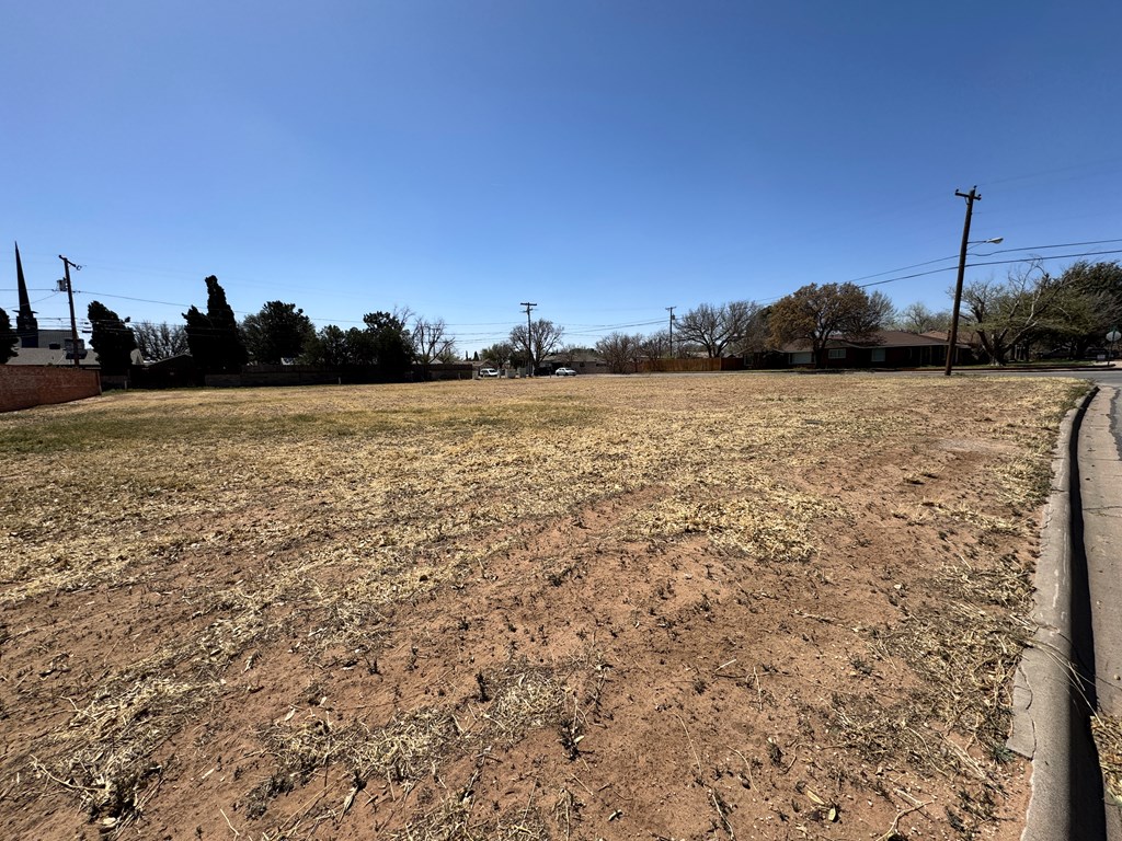 1307 W Kansas Ave, Midland, Texas image 3