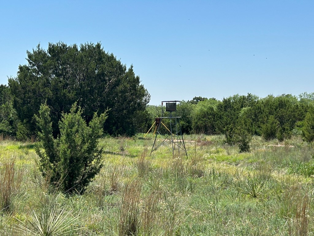 6510 Us Highway 83, Ovalo, Texas image 10