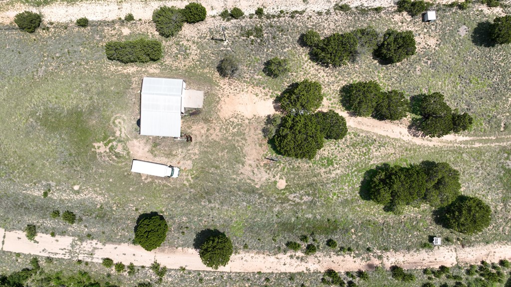 6510 Us Highway 83, Ovalo, Texas image 6