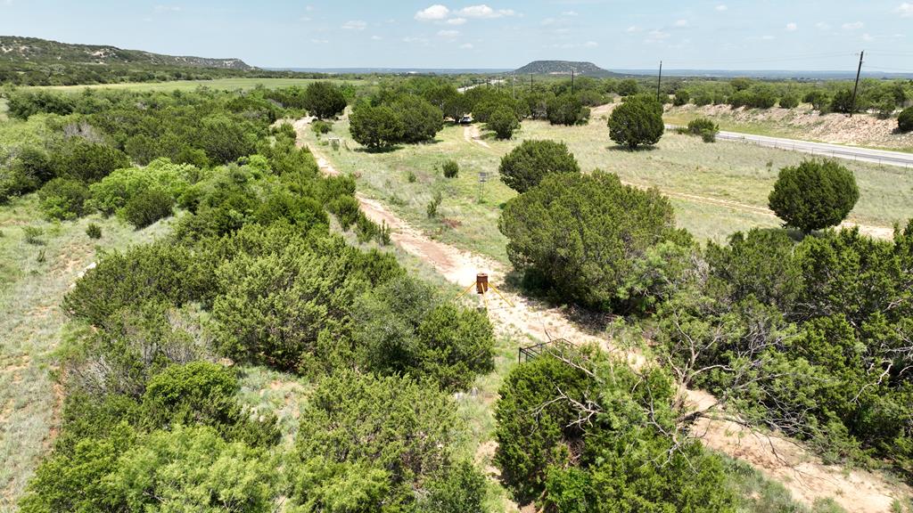 6510 Us Highway 83, Ovalo, Texas image 1