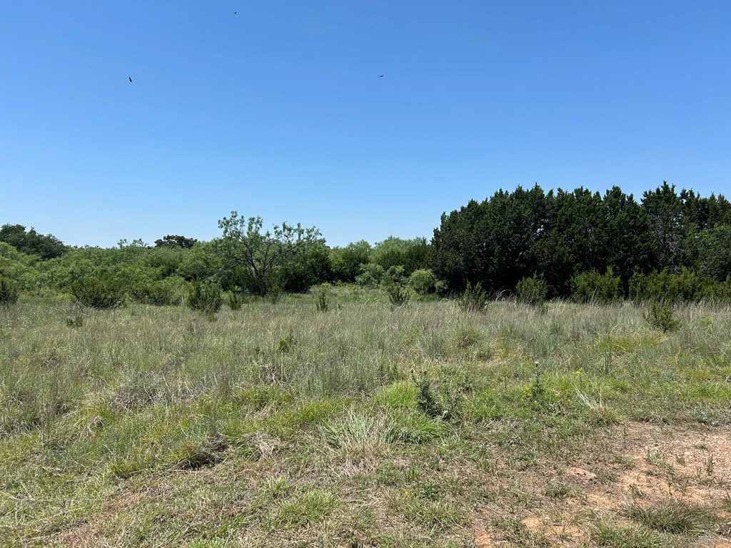 6510 Us Highway 83, Ovalo, Texas image 21