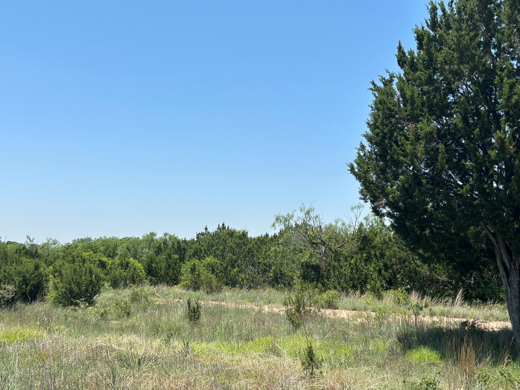 6510 Us Highway 83, Ovalo, Texas image 26
