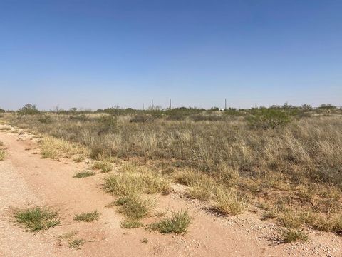 Vacant Land For Sale - LOT 10E County Rd 149<br/> Midland, TX 79709