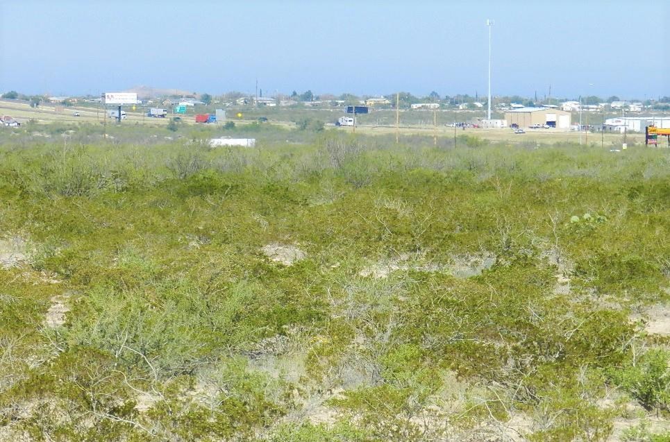 0000 Us 290, Fort Stockton, Texas image 16