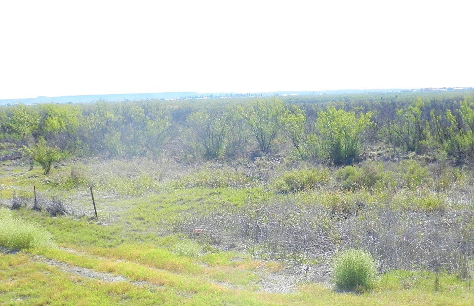 0000 Us 290, Fort Stockton, Texas image 14